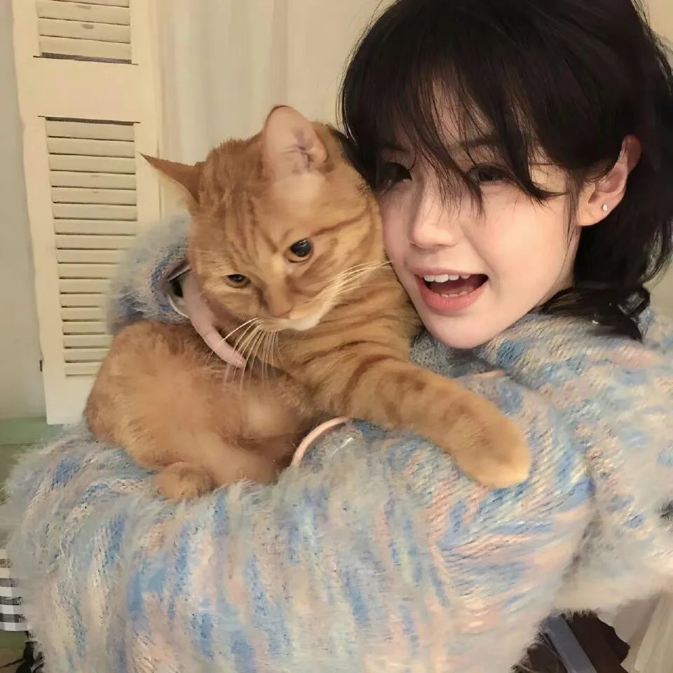 巅峰拍档第十七季