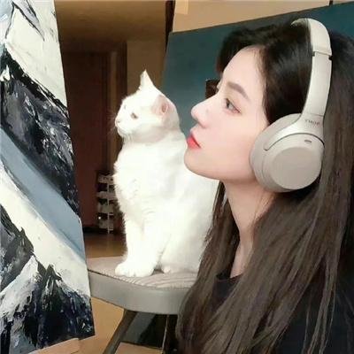 恋情告急